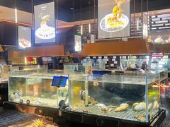 -璞御·海鲜·雪花牛肉局(宾水西道店)