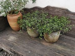 -云里小坐·小院里·团建·宴请·下午茶(三圣乡店)