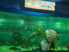 -苏州海洋馆