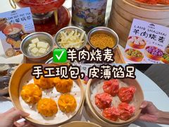 -百彦蒙古包·碳烤羊排·手抓羊肉(万江首店)