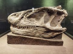 -自贡恐龙博物馆