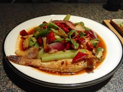 -酒肉行·虎子盐筋烤肉(大寨路店)