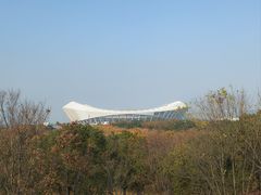 -贡湖湾湿地公园