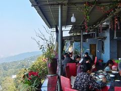 -南山老地方泉水鸡(南山店)