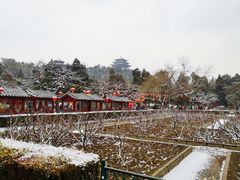 景点-景山公园