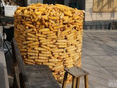 农家院里的大玉米-柳沟豆腐宴义豆堂24号农家院