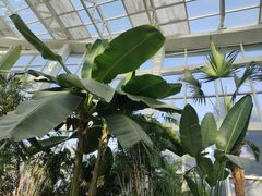 -石家庄市植物园