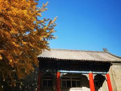 -中央民族大学