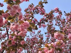 -苏州河梦清园环保主题公园