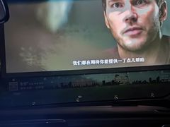 -枫花园汽车电影院(朝阳公园店)