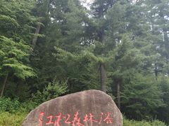 -五营国家森林公园
