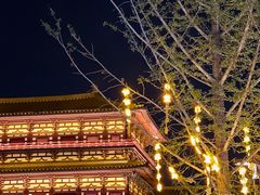 -隋唐洛阳城明堂天堂景区