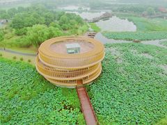 -荷塘月色湿地公园·向阳花洲