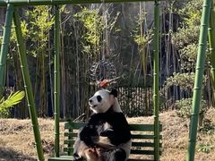 -杭州野生动物世界