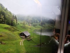 -维乐口腔医院(星海湾分院)
