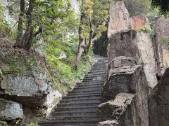 -铁山坪森林公园