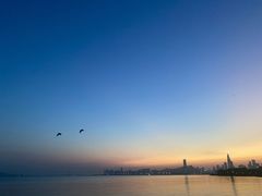 -深圳湾公园(南山区)