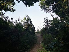 -燕窝岭