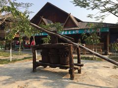 -瑞丽独树成林风景区