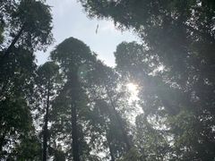 -上海怡沁园度假酒店