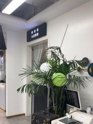 -爱秀造型 T-G