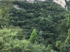 -山西壶关太行山大峡谷旅游景区