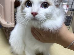 -宠颐生宠物医院外科·内科·皮肤科·影像科(石龙店)