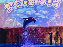 -华夏文旅海洋公园
