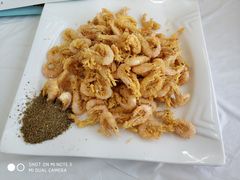 -渔民船说·北塘海鲜·天津菜·海肠捞饭(北塘古镇店)