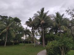 -深圳湾公园(南山区)