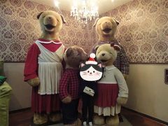 -济州岛泰迪熊博物馆