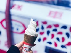 -富豪雪糕车流动点(尖沙咀店)