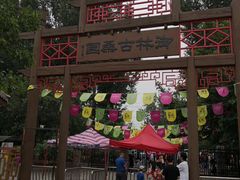 -御林古桑园