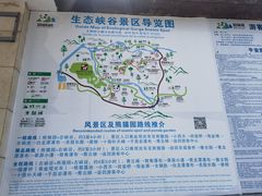 -碧峰峡风景区