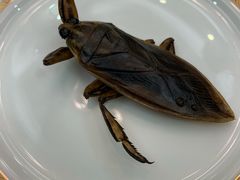 -莫华(锦绣趣园北街店)