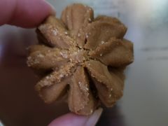 -珍妮曲奇聪明小熊(尖沙咀店)