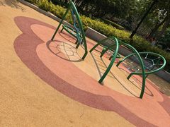 -八仙山公园