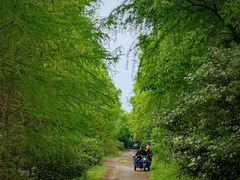 -上海海湾国家森林公园