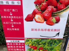 -新地休闲农场