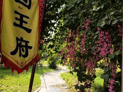 -哈密回王府景区