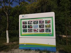 -昆山城市生态森林公园