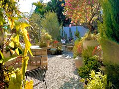 -自由生长植物工作室(深港花卉中心店)