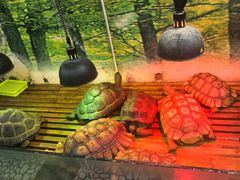 -上海昆虫博物馆