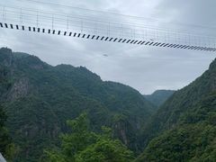 -龙湾潭国家森林公园