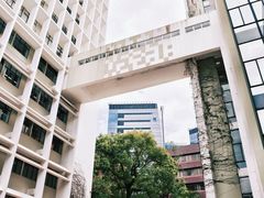 -香港大学