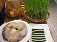 -广顺鑫猪肚鸡(经八路店)