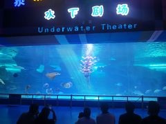 -泉城欧乐堡海洋极地世界