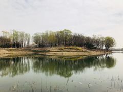 -大兴滨河森林公园