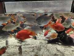 -太平洋海底世界