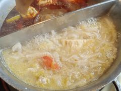 酸菜白肉锅底-鼎王麻辣锅(七贤店)